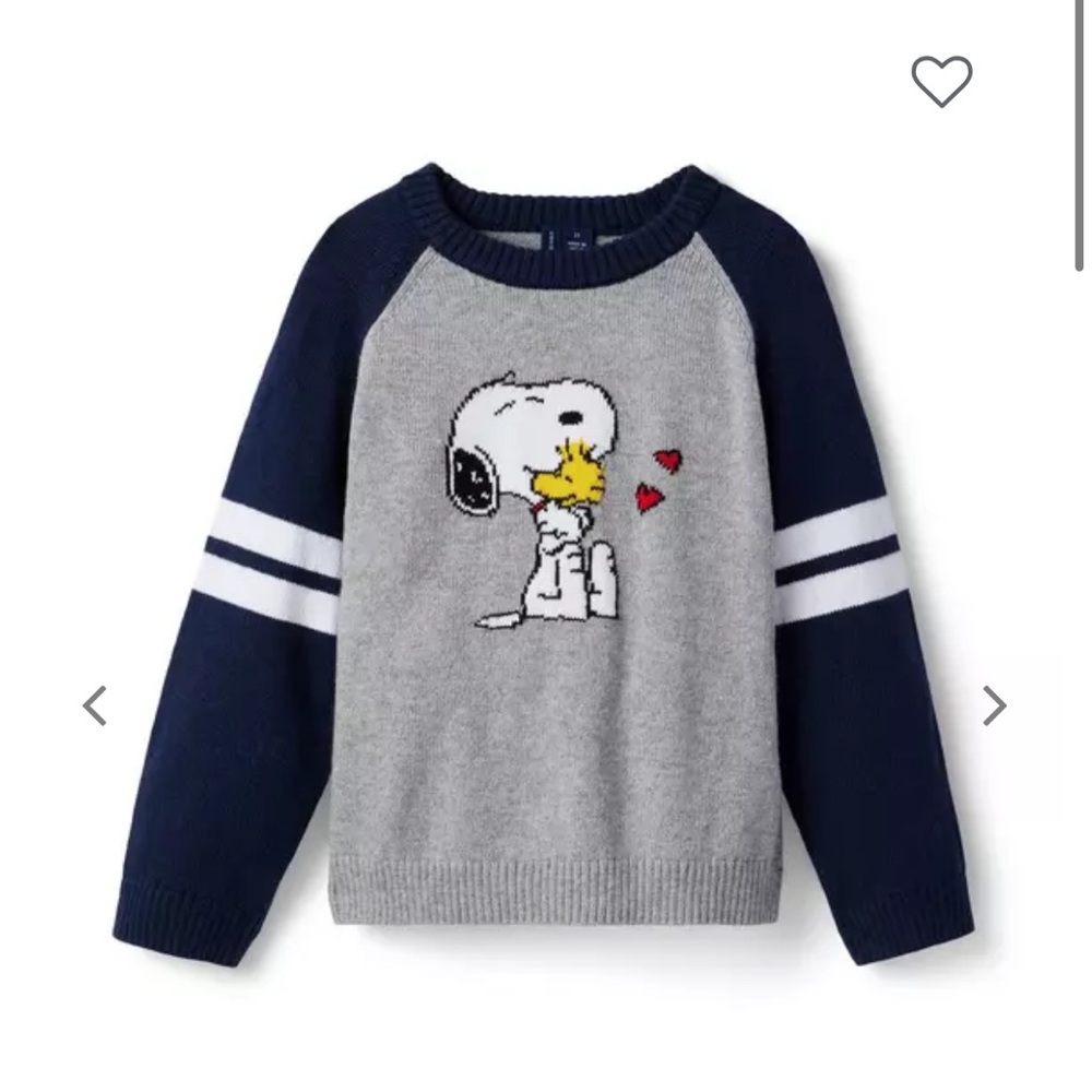 Kids Gray and Navy Snoopy Sweater